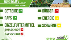 Aktuelle Marktnews