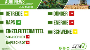 Aktuelle Marktnews