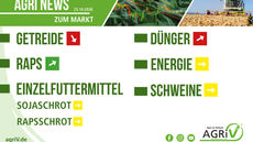 Aktuelle Marktnews