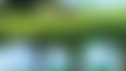 Cercospora-Infektionen gezielt vorbeugen