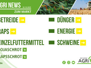 Aktuelle Marktnews