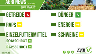 Aktuelle Marktnews