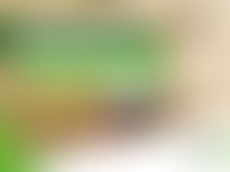 Frühdruschaktion Körnermais 2025