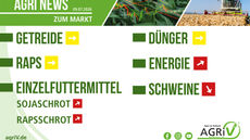 Aktuelle Marktnews