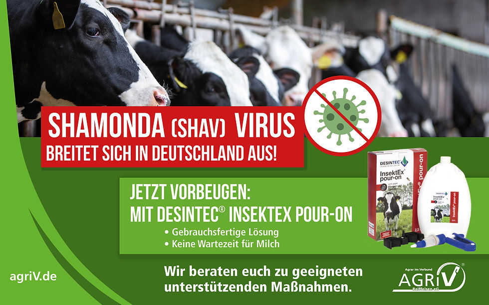 SHAMONDA-VIRUS - Jetzt vorbeugen!