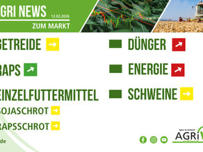 Aktuelle Marktnews