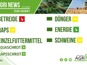 Aktuelle Marktnews