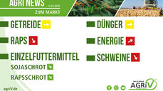 Aktuelle Marktnews