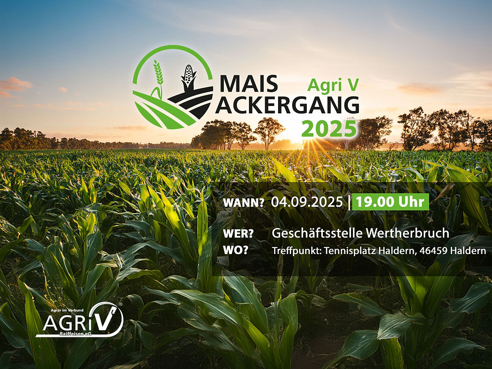 Agri V Ackergang Mais 2025 Wertherbruch
