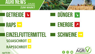 Aktuelle Marktnews