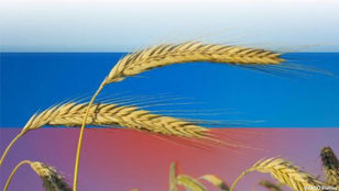 Der rapide Niedergang der einstigen Topregion