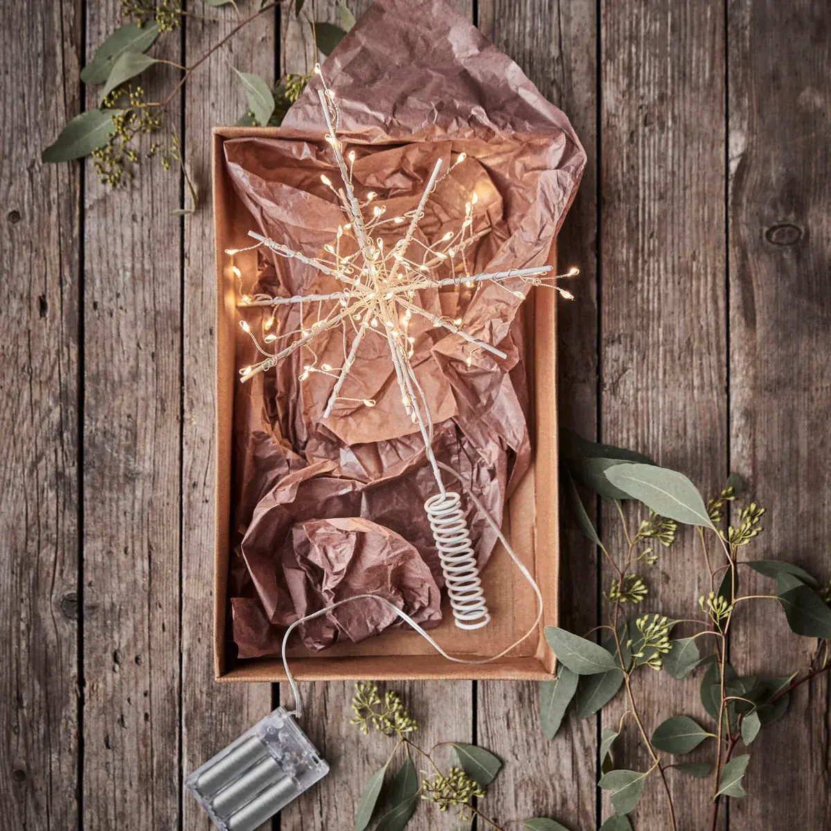 Baumspitze von house doctor