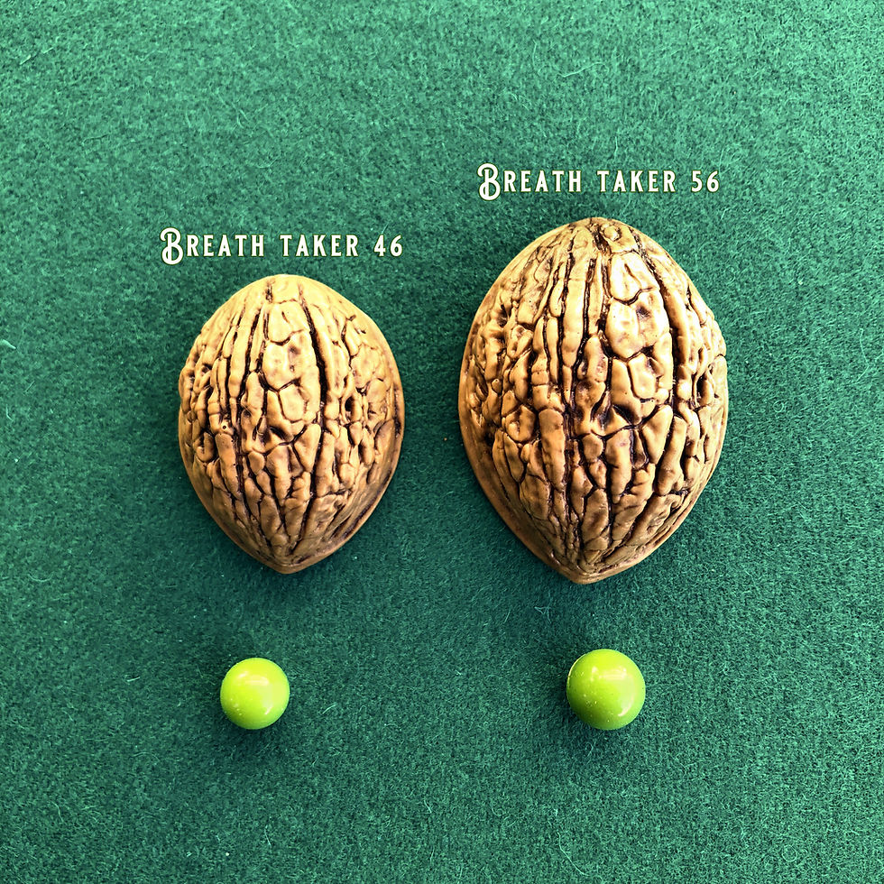 Miniatura: The Breath Taker Shells 46 mm vintage