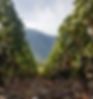 IMG-20190108-WA0004_edited.jpg