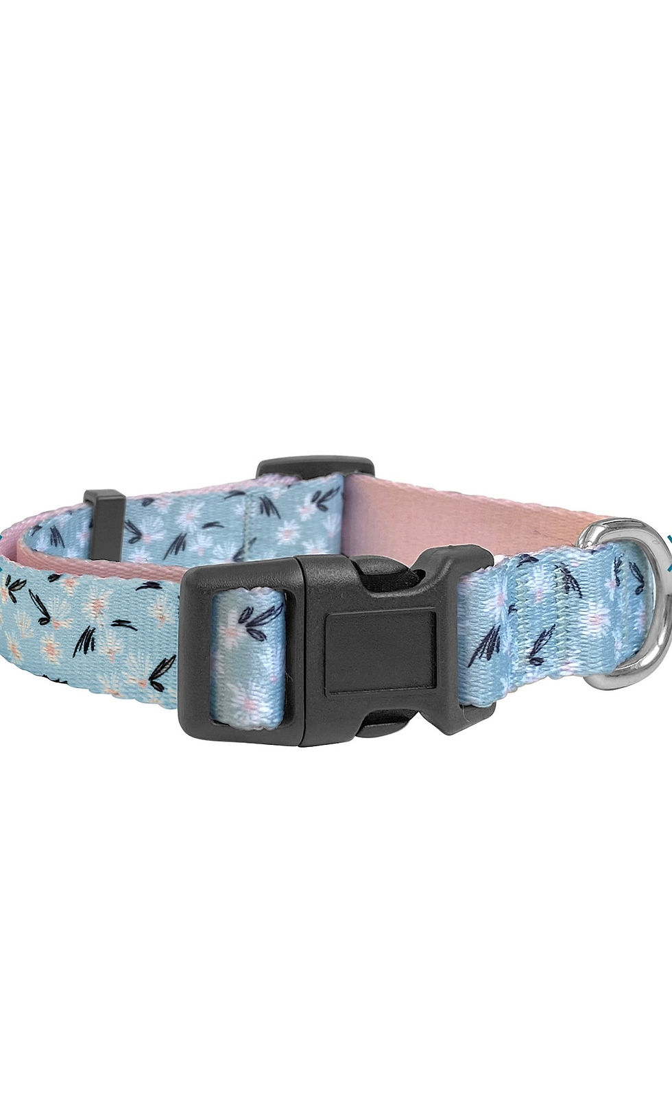 Woof Dog Collar - Blue and Pink Floral