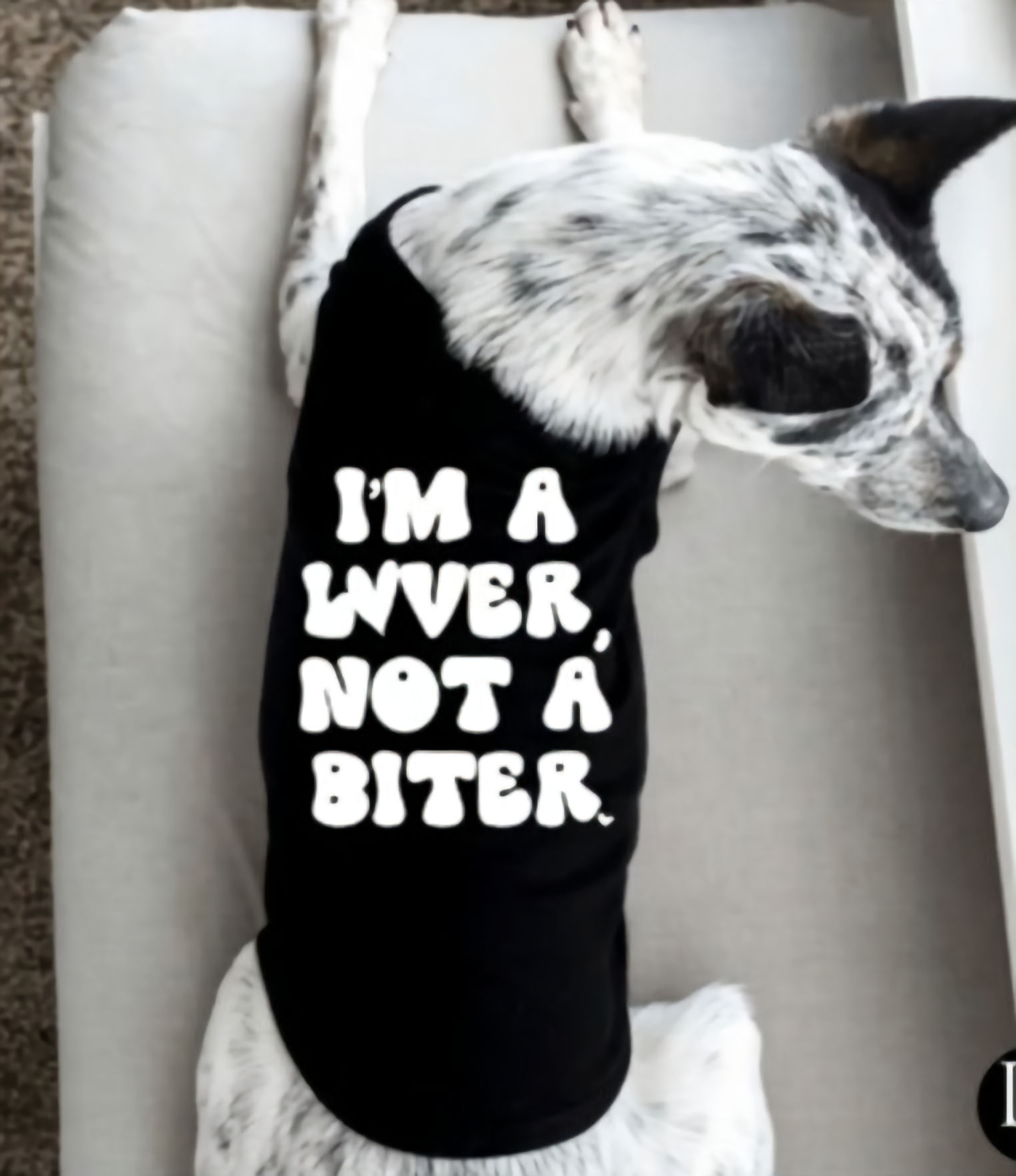 I'm a Lover, Not a Biter.