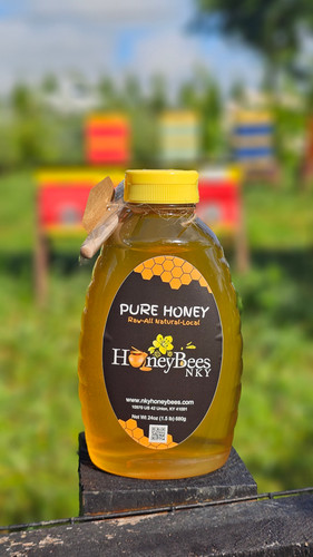 NKY Honey Bees photo 3