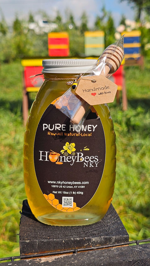 Pure Honey 32 oz (2 lbs) 908g | Nky Honey Bees