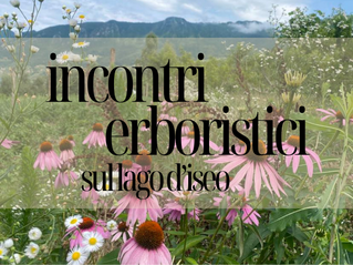 INCONTRI ERBORISTICI SUL LAGO D'ISEO