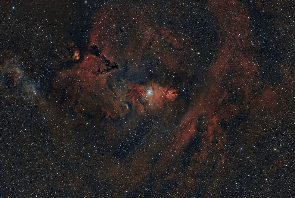 NGC2264_final.jpg