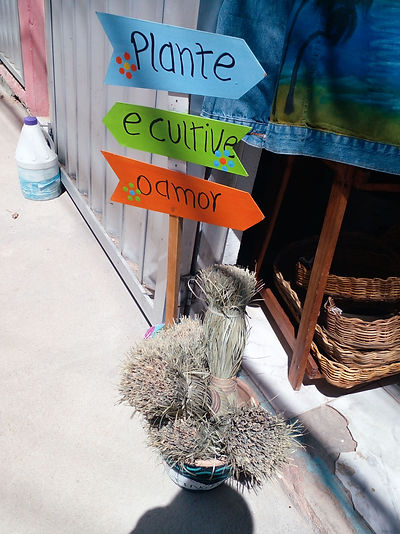 Decoração por Damasio.jpg