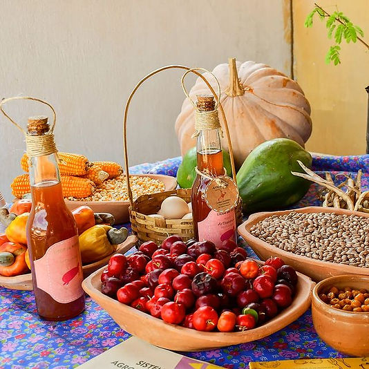 Da roça direto para seu prato. _------------️----_Comida saudável_ ___organic _producaosau