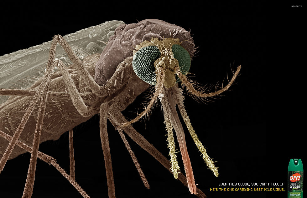 OFF Mosquito