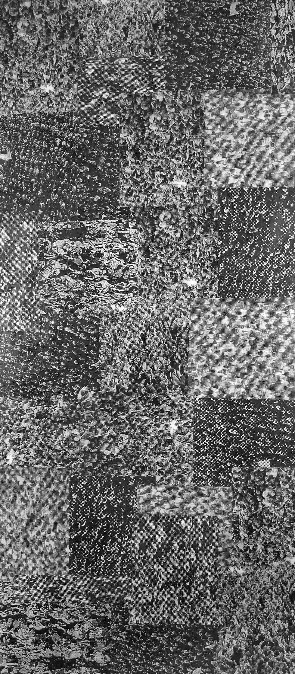 Crowd IX