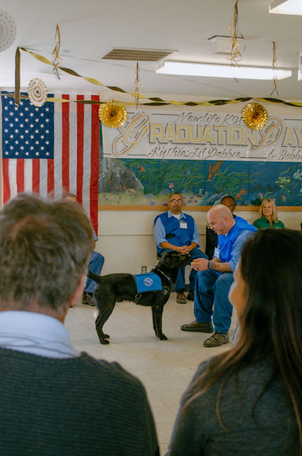 black labrador retriever service dog in training with dog handler