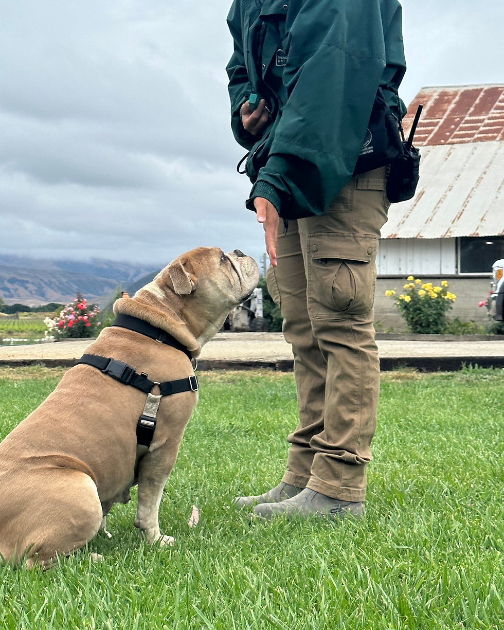 How a Simple Touch Can Transform Your Training