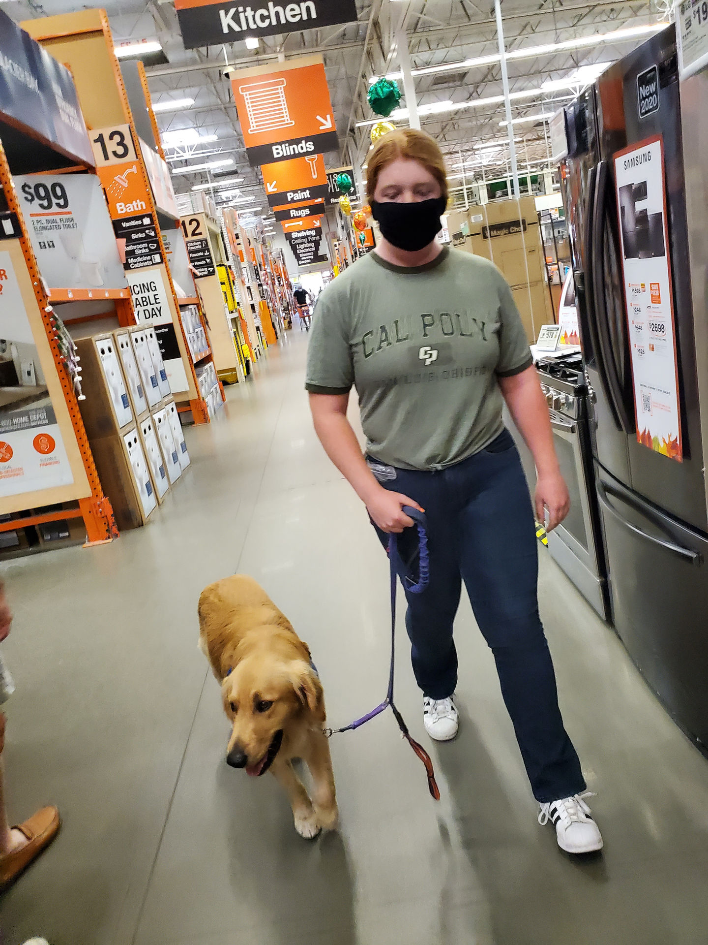 yellow service dog in training with puppy parent and home store