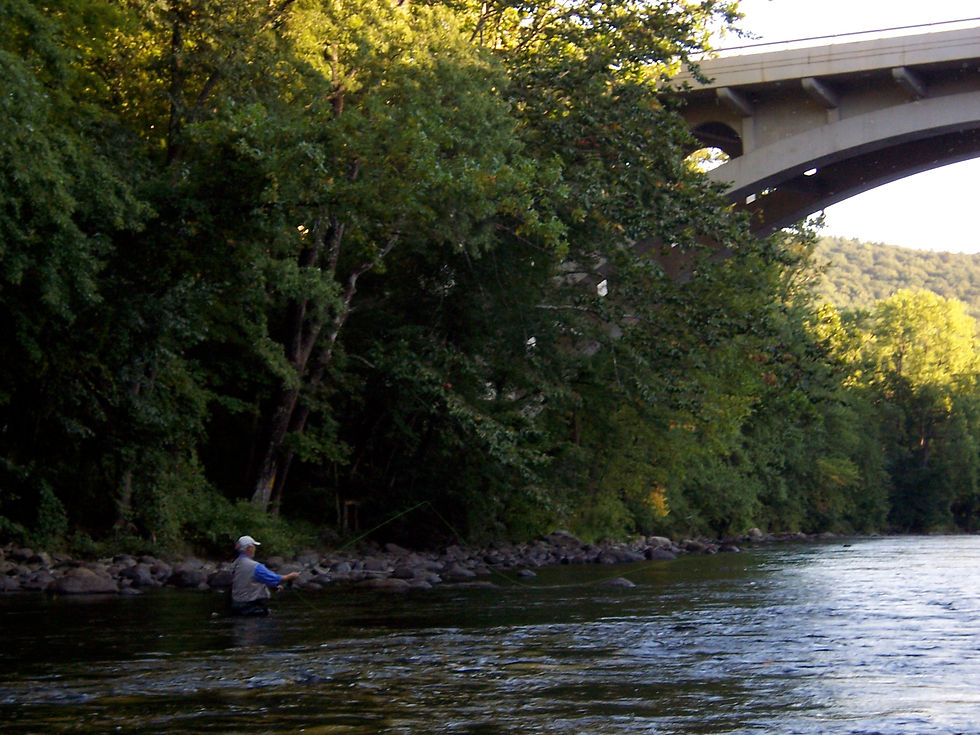Catch a Trout