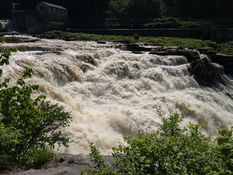 Visit the Great Falls