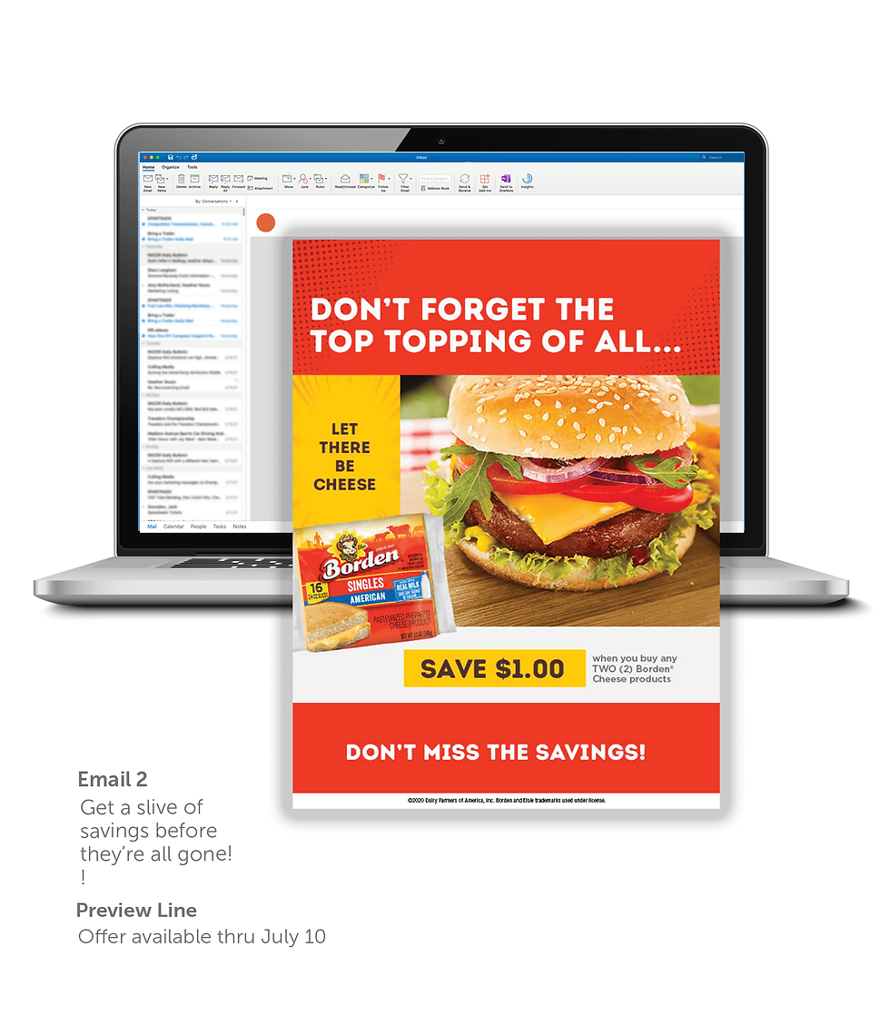 Borden Cheese Singles - Email