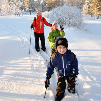A parent and two kids out on an adventure with cross country skiis together in Swedish Lapland