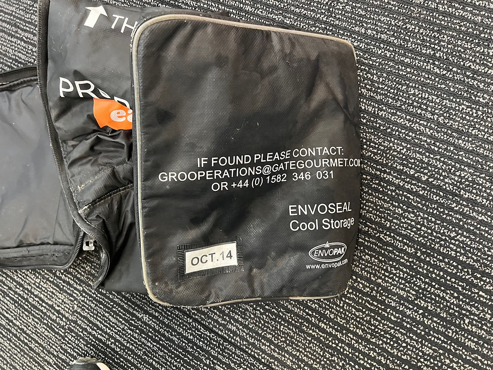 Thumbnail: easyJet envopak storage bag