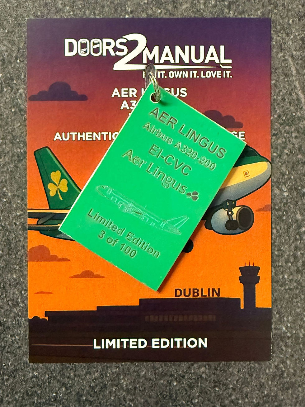Thumbnail: Aer Lingus A320 EI-CVC Fuselage Skin Tag