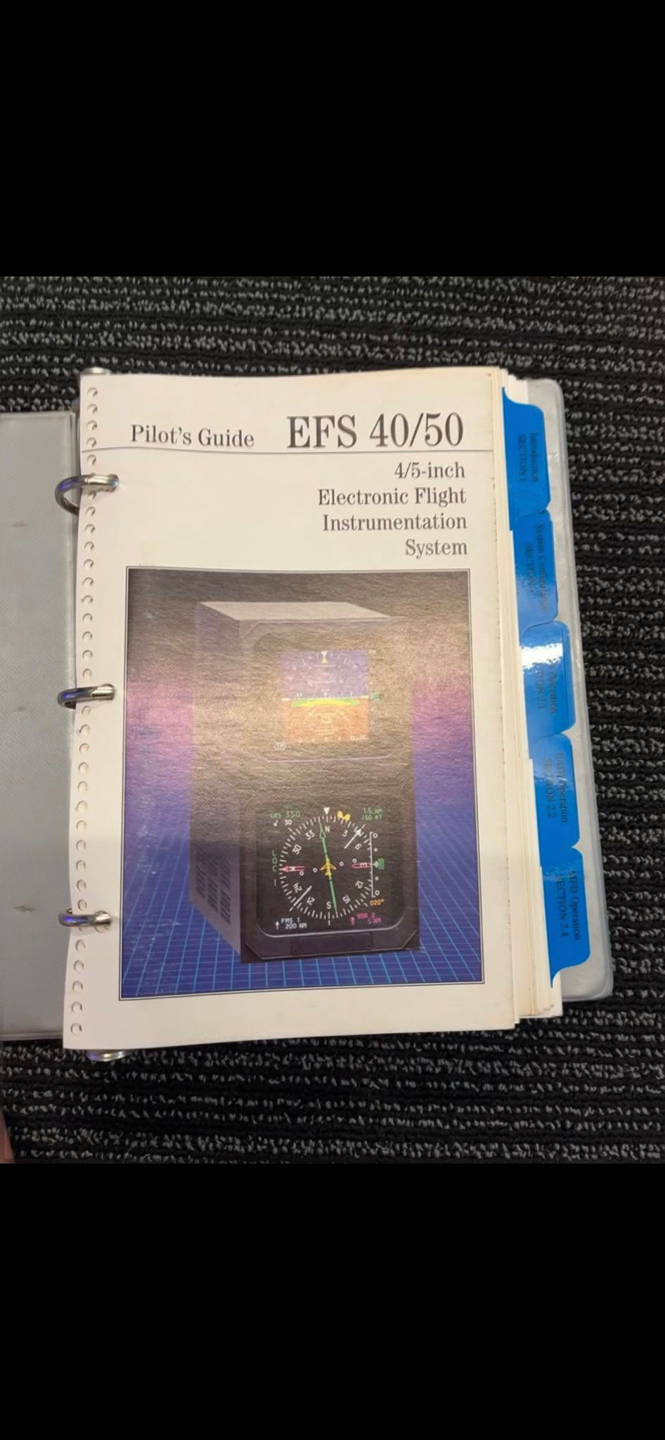 Thumbnail: Pilot’s Guide EFS 40/50