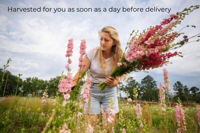 Harvest for you as soon as a day before delivery-2.png