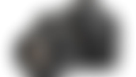 Your Best Fundraising Asset Is Already at Camp