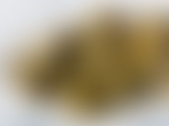 Aralıklı Oruç (Intermittent Fasting): Zayıflamanın Ötesinde Bir Yaşam Tarzı mı?