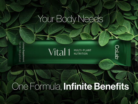 Moringa: Why the "Miracle Tree" Is Becoming One of the Most Talked-About Superfoods