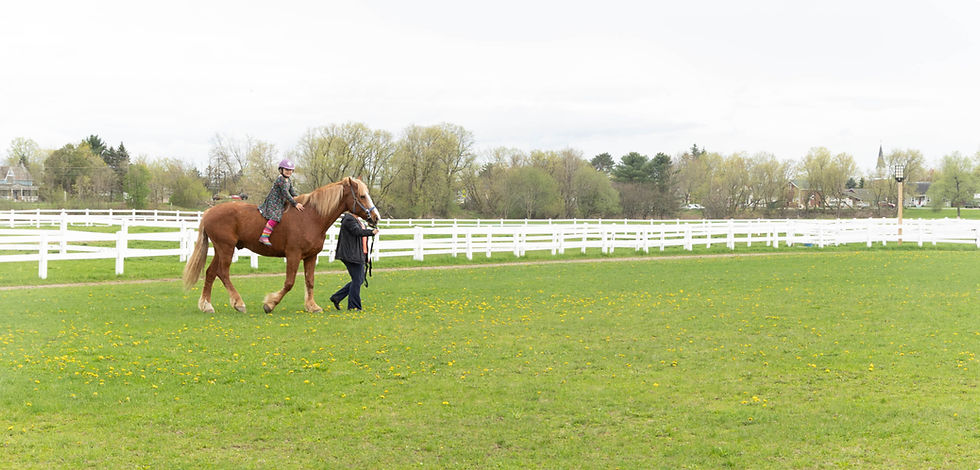brooklin and Molly walking waffles.jpeg