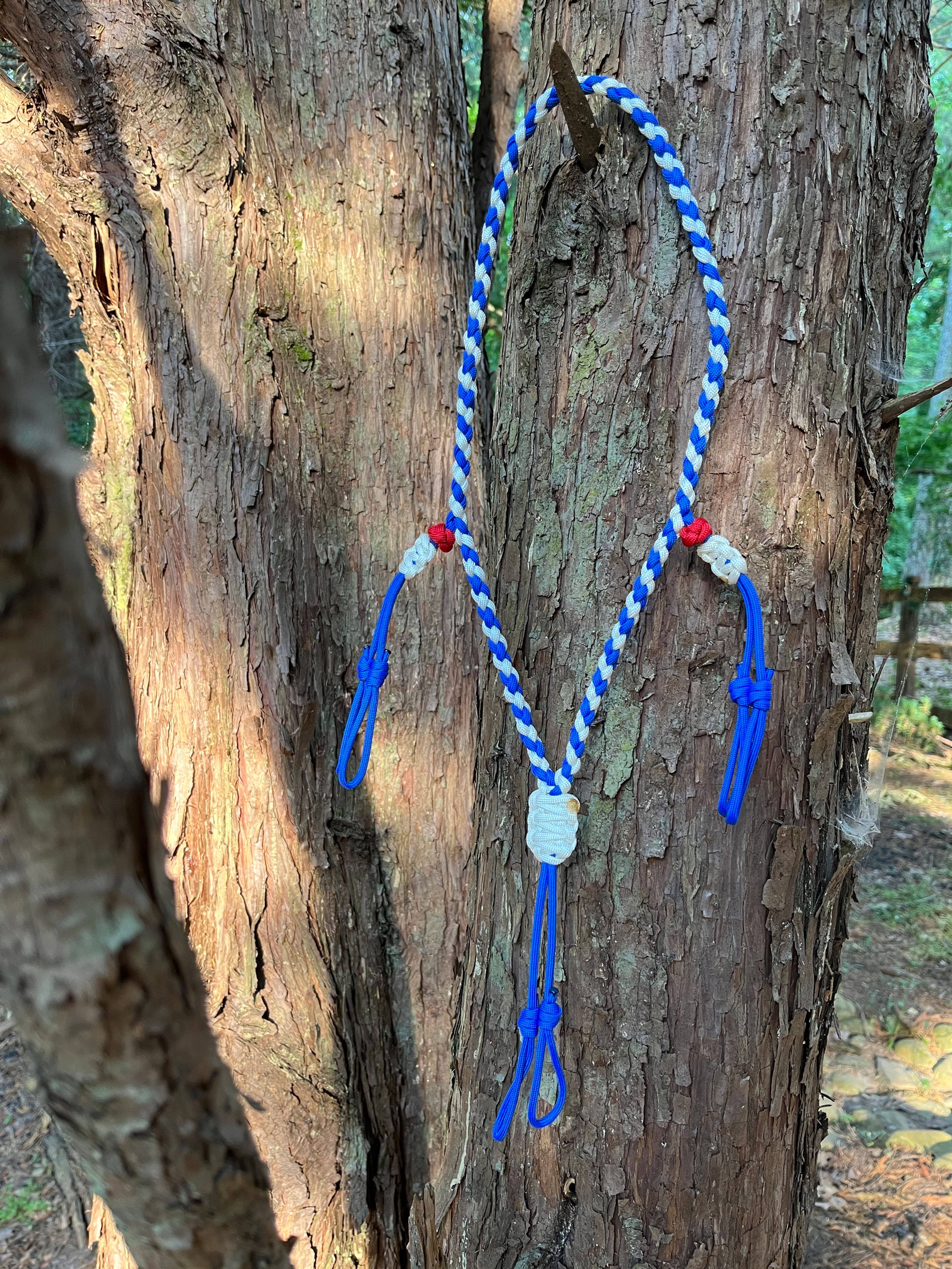 Patriotic Call Lanyard