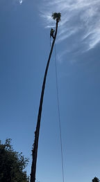 Vertical supporting image from project set one