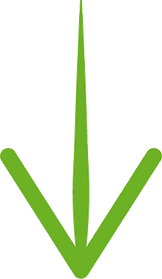 FLECHE-VERTE4.png
