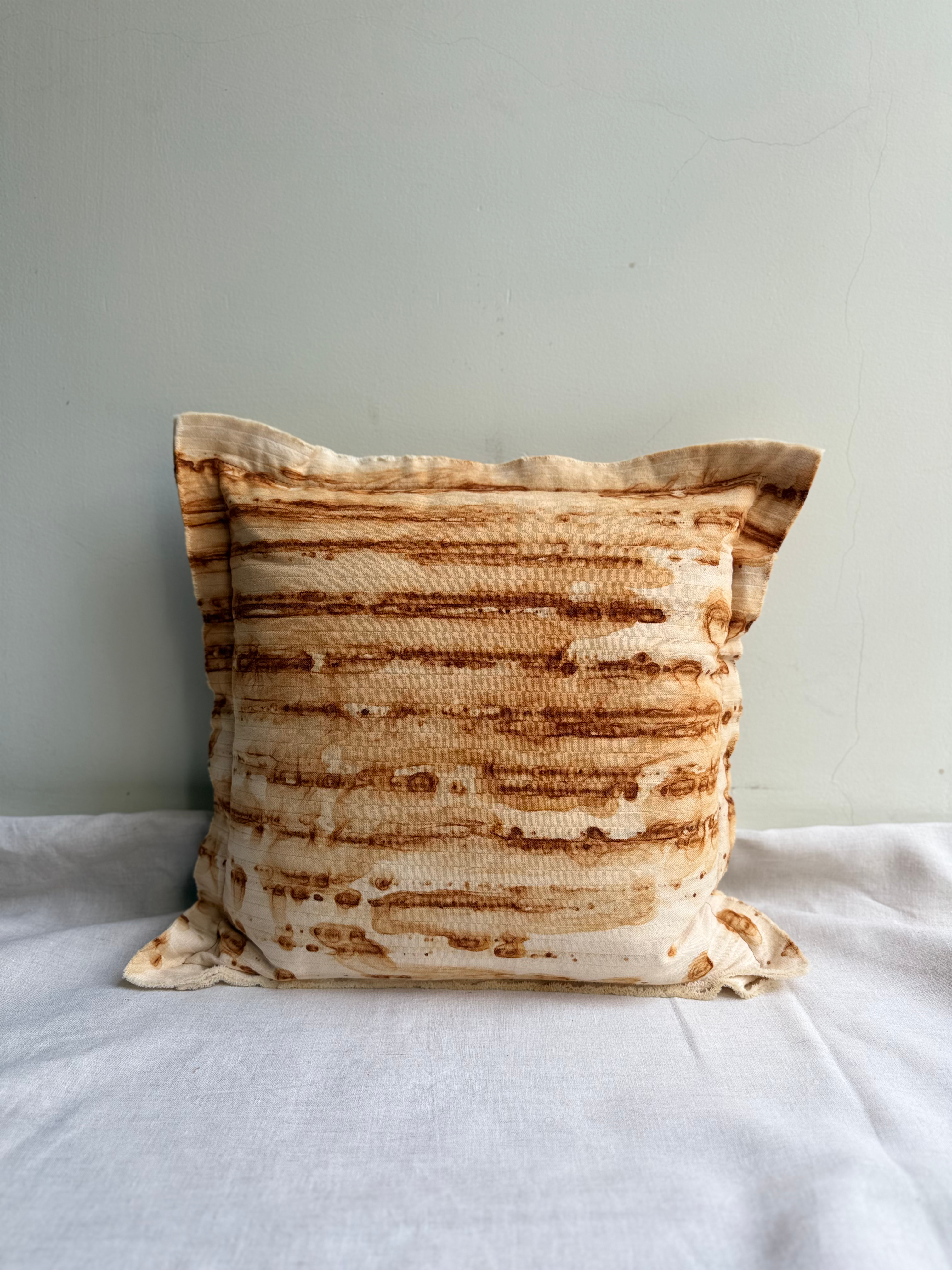 Rust Dyed Cushion
