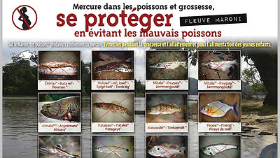 fleuve_maroni_poissons_deconseilles.jpg