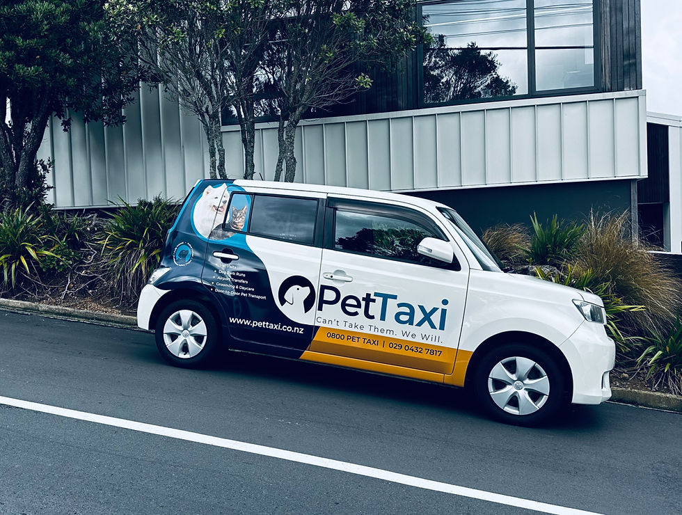 Pet Taxi Wellington.jpeg
