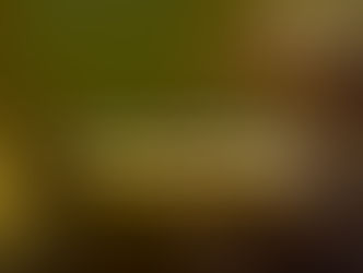 2026 全球專業美容趨勢下，沙龍不只拼技術，更要懂的五大生存法則